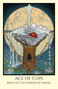bordered color Ace of Cups small